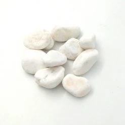 Steve & Leif Gardening Supplies White Pebbles 20kg Bag (Available In 2 Sizes) 9 Steve & Leif Gardening Supplies White Pebbles 20kg Bag (Available In 2 Sizes)