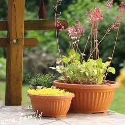 Prosperplast Gardening Supplies Terra Traditional Pot (400mm X 170mm) 5 Prosperplast Gardening Supplies Terra Traditional Pot (400mm X 170mm)