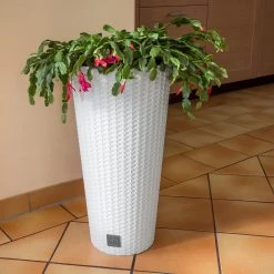 Prosperplast Gardening Supplies Rato Tubus Tall Round Basket Weave Pot (300x572mm)
