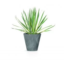 Prosperplast Gardening Supplies Tubus Effect Round Pot (300mm X 280mm)