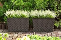 Prosperplast Rato Case Basket Weave Pot (580x180x498mm) Gardening Supplies