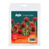 Baba Common Globe Amaranth Seeds Gardening Supplies 2 Baba Common Globe Amaranth Seeds Gardening Supplies