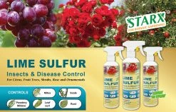 Others Lime Sulphur Spray (500ml) - Pest / Fungus / Insects / Disease Control Gardening Supplies