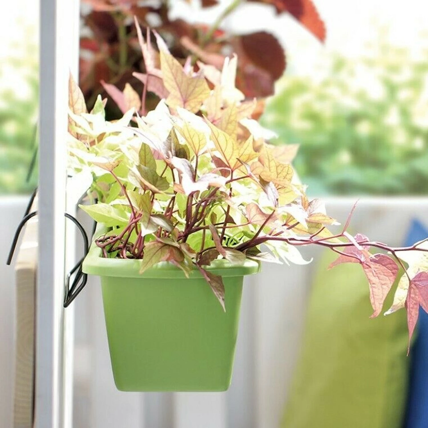 Prosperplast Iron Hanger For Respana Planter Box Gardening Supplies 9 Prosperplast Iron Hanger For Respana Planter Box Gardening Supplies