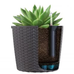 Prosperplast Massive Self Watering System Gardening Supplies