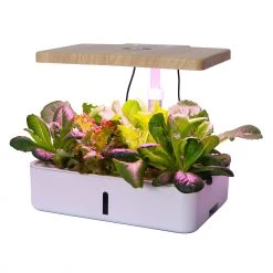 Others Gardening Supplies Dual Function Intelligent Seed Planter 12s