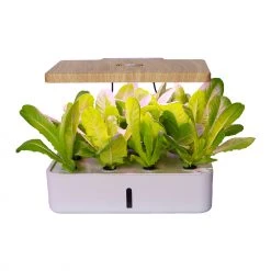 Others Gardening Supplies Dual Function Intelligent Seed Planter 12s