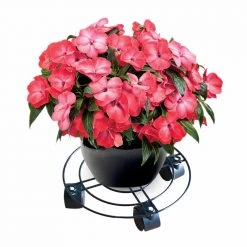 Gardening Supplies Steve & Leif Round Metal Plant Trolley 27cm 29 Gardening Supplies Steve & Leif Round Metal Plant Trolley 27cm