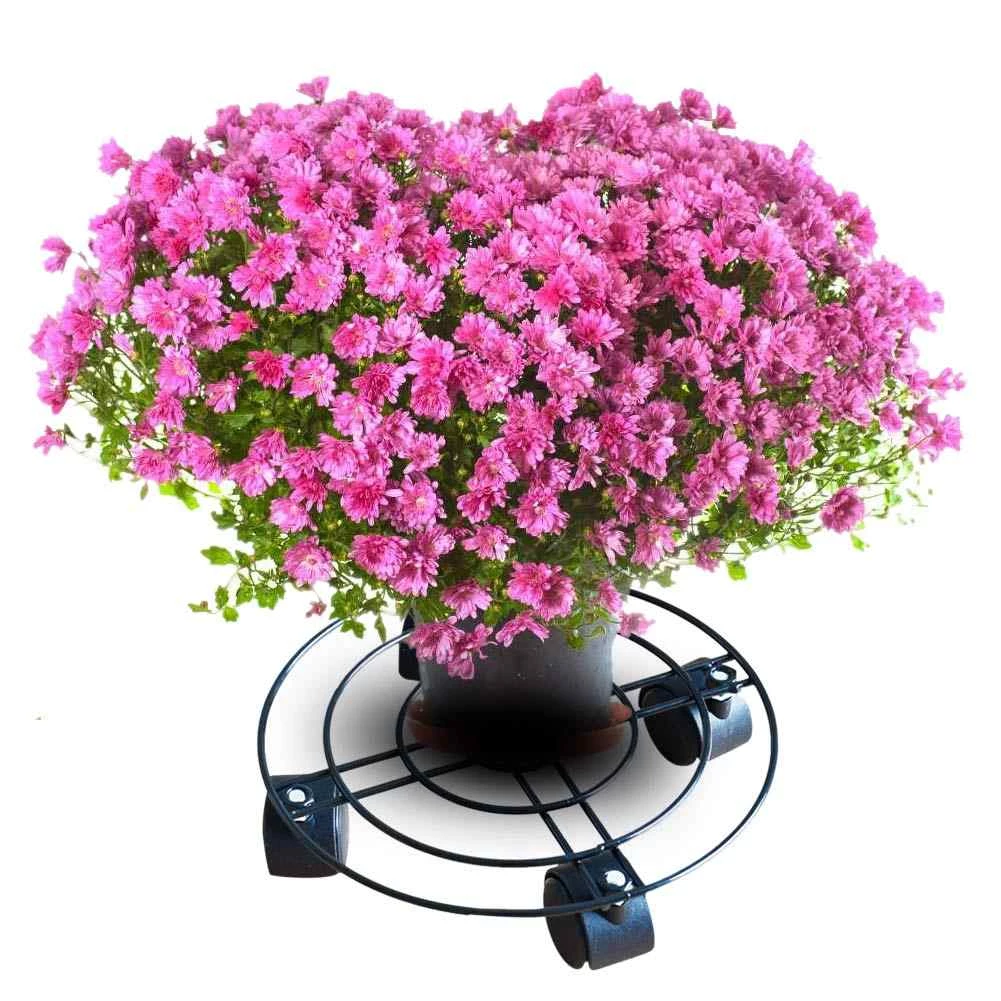 Gardening Supplies Steve & Leif Round Metal Plant Trolley 27cm 11 Gardening Supplies Steve & Leif Round Metal Plant Trolley 27cm