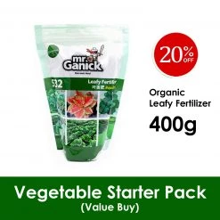 Baba Vegetable Starter Pack [Limited Stocks!] Gardening Supplies