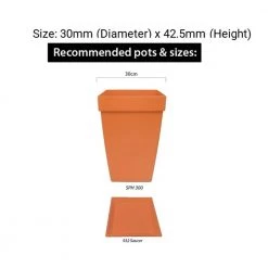 Baba BI-SPH-300 Santorini Square Pot (Cotta) Gardening Supplies 12 Baba BI-SPH-300 Santorini Square Pot (Cotta) Gardening Supplies