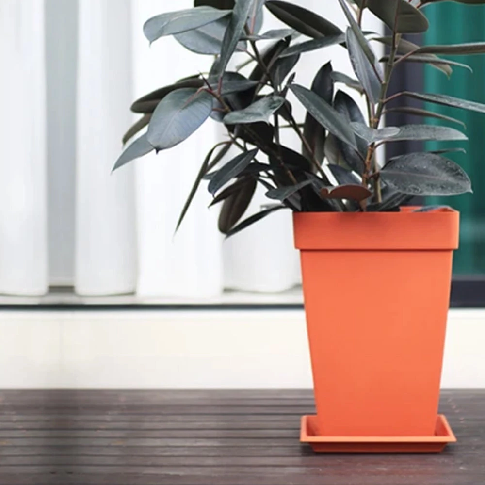 Baba BI-SPH-300 Santorini Square Pot (Cotta) Gardening Supplies 6 Baba BI-SPH-300 Santorini Square Pot (Cotta) Gardening Supplies