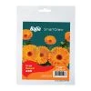 Baba Gardening Supplies Marigold Seeds (50 Seeds)