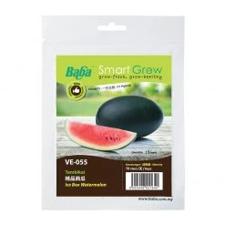 Baba Ice Box Watermelon Seeds VE-055 (5 Seeds) Gardening Supplies