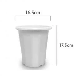 Baba Gardening Supplies BI-165-H Round Pot 165mm 9 Baba Gardening Supplies BI-165-H Round Pot 165mm