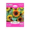 Steve & Leif Gardening Supplies Helios Flame Sunflower Seeds