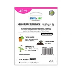 Steve & Leif Gardening Supplies Helios Flame Sunflower Seeds