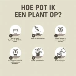 Pokon Terrace & Balcony Plants Potting Soil 40L Gardening Supplies