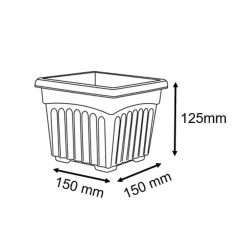 Baba BI-SQ-150 Biodegradable Square Pot (Zen Brown)