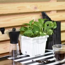 Baba BI-SQ-150 Biodegradable Square Pot (Zen Brown)