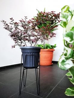 Baba Gardening Supplies Round Pot Stand (280 Mm) WT-94