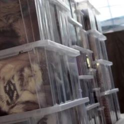 Prosperplast Household Transparent Cargobox With Lid