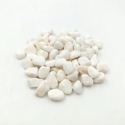Steve & Leif Gardening Supplies White Pebbles 20kg Bag (Available In 2 Sizes) 11 Steve & Leif Gardening Supplies White Pebbles 20kg Bag (Available In 2 Sizes)