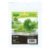 Baba VE-062 Green Celery Seeds (~2gm)