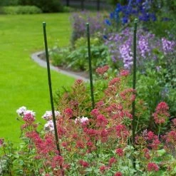 Others PE Coated Green Bamboo Cane Support Gardening Supplies