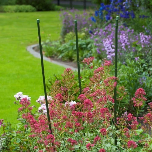 Others PE Coated Green Bamboo Cane Support Gardening Supplies 4 Others PE Coated Green Bamboo Cane Support Gardening Supplies