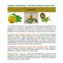 Baba Gardening Supplies Mr Ganick Dr. Neem Concentrated Organic Insecticides (1L)