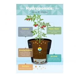 Others Gardening Supplies Hydroponics All-In-One Plant Food 2-1-6 (1 Ltr)
