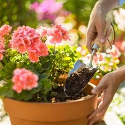 Pokon Gardening Supplies Organic Garden Peat 10L