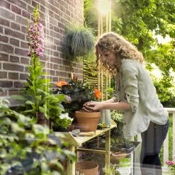 Pokon Gardening Supplies Organic Garden Peat 10L