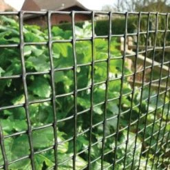 Steve & Leif HDPE Garden Mesh / Plant Support (10x10mm) Grid (Black/Green) Gardening Supplies
