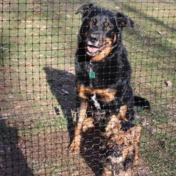 Steve & Leif HDPE Garden Mesh / Plant Support (10x10mm) Grid (Black/Green) Gardening Supplies