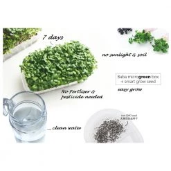 Bundle Deal - [4 + 4] Baba Microgreen Set + Seeds Gardening Supplies