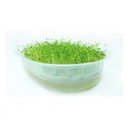 Baba Gardening Supplies Clear Microgreen Box