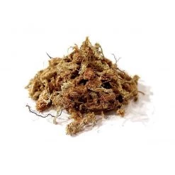 Others Gardening Supplies Chilean Sphagnum Moss (150g)