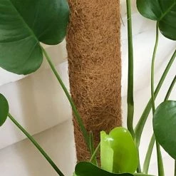 Others Gardening Supplies Coco Fibre Growing Support Pole