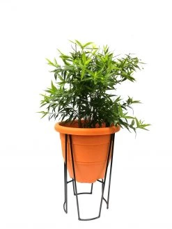 Baba Gardening Supplies Round Pot Stand (280 Mm) WT-94