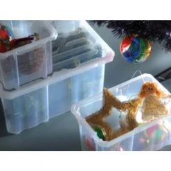 Prosperplast Household Transparent Cargobox With Lid