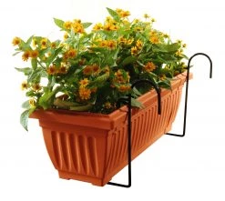 Baba Hanging 3 Inch Pot Stand (320 X 190mm) - Small Gardening Supplies